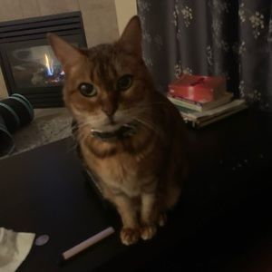 Meet your Posher, Heather